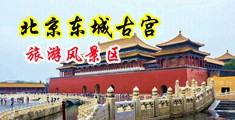 人与动物射精视频中国北京-东城古宫旅游风景区